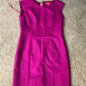 Catherine Magenta below knee dress